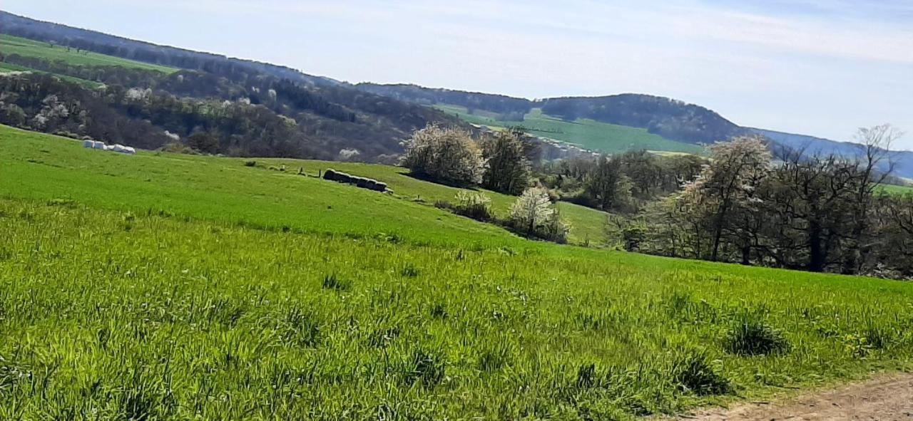 Ferienwohnung Gutowski Andernach Bagian luar foto